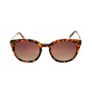 Sunglasses Bruno Botti BB2224-C003