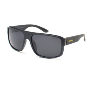 Sunglasses Grey Wolf GW5128-C02P