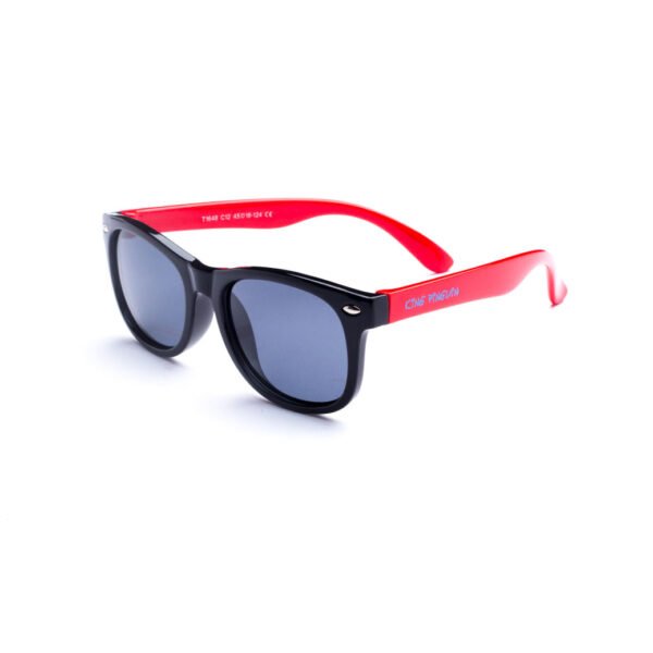 Sunglasses King Pinguin KP1648-C12