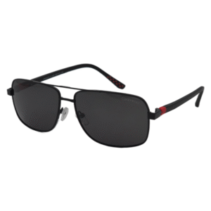 Sunglasses Grey Wolf 4074 C-4