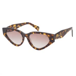 Sunglasses Bruno Botti BB2247 C-004