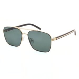 Sunglasses Beach Force BF3154P C-116-PP42