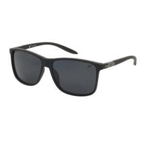 Sunglasses B-B366 C-2