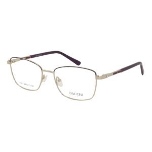 Frames Dacchi D31817-C3