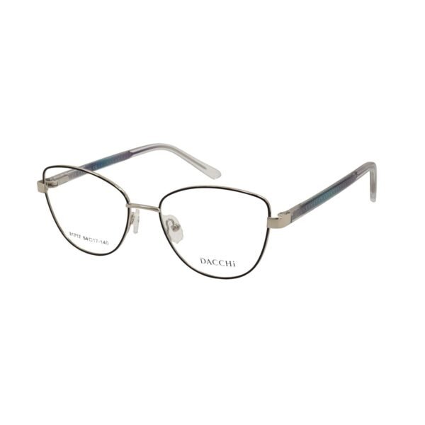 Frames Dacchi D31717-C1
