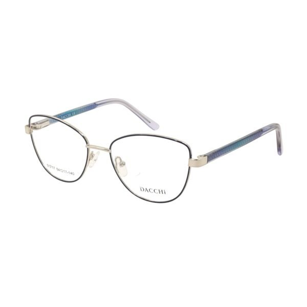 Frames Dacchi D31717-C4