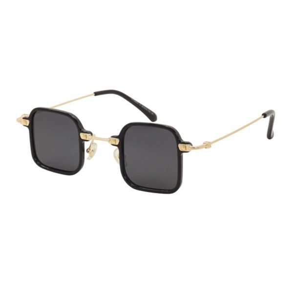 Sunglasses Havvs HV68054-C-G