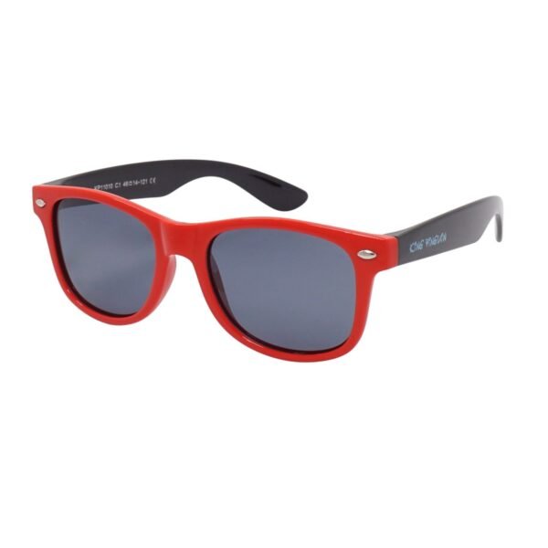 Lunettes de soleil King Pinguin KP11010-C1