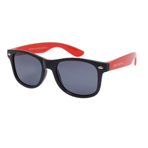 Lunettes de soleil King Pinguin KP11010-C12