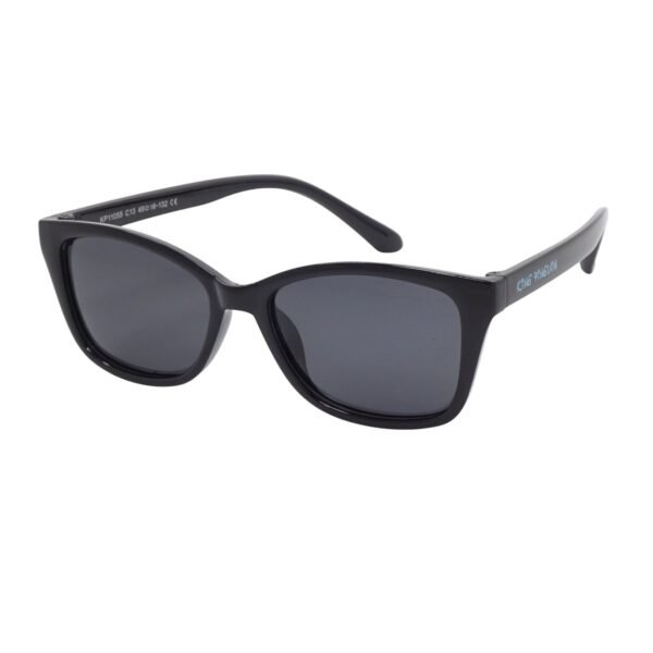Lunettes de soleil King Pinguin KP11055-C13