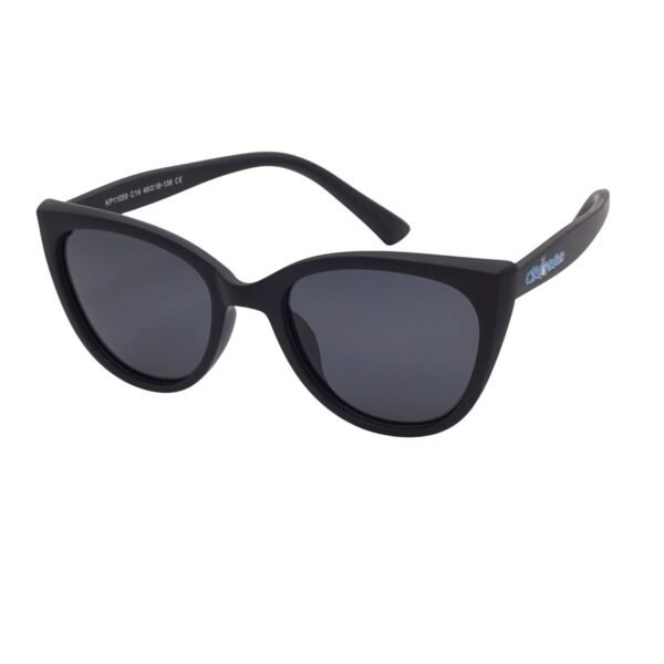 Lunettes de soleil King Pinguin KP11059-C14