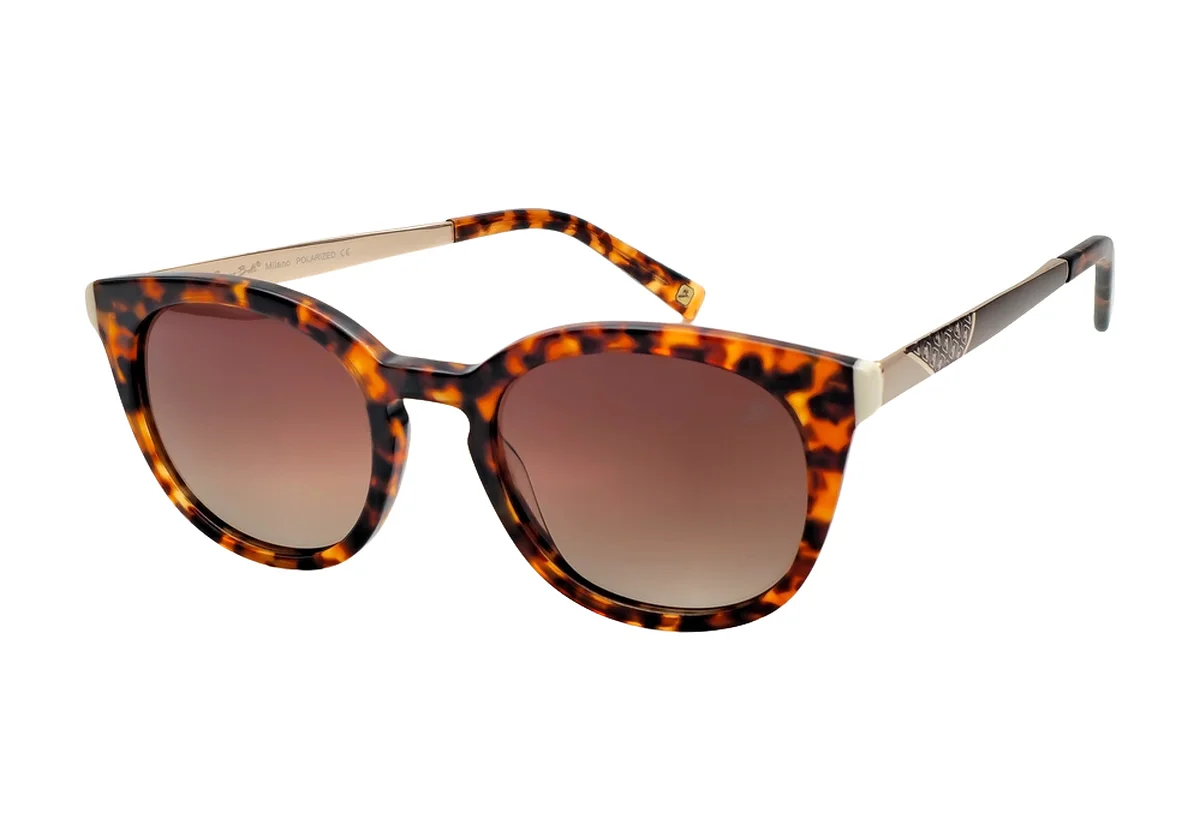 Sunglasses Bruno Botti BB2224-C003