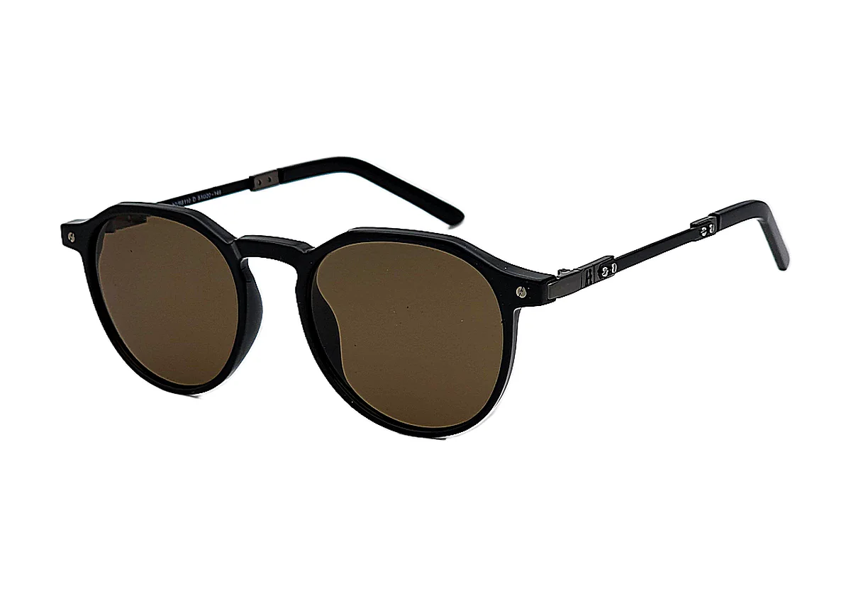 Sonnenbrillen HAVVS HV68110 C-D