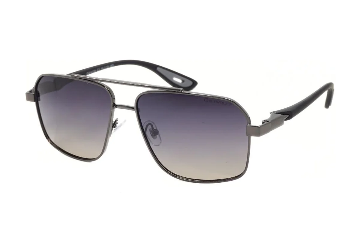 Sunglasses Grey Wolf GW4128 C-5