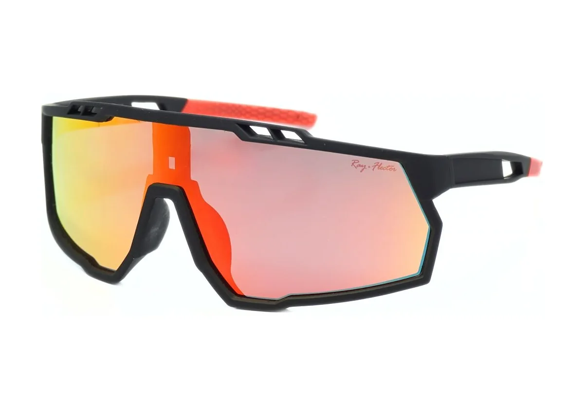 Occhiali da sole Ray Flector RF0821 C-01P