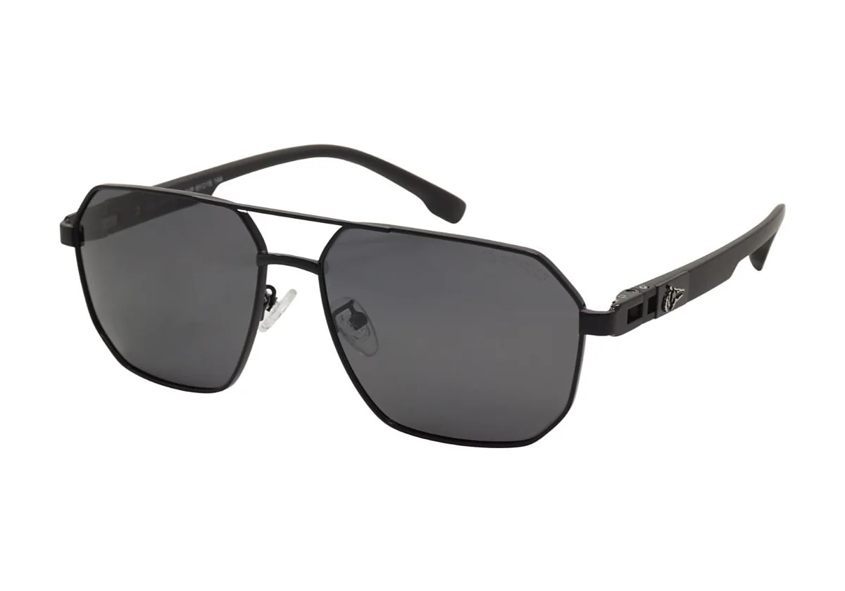 Sunglasses Grey Wolf GW4129 C-1