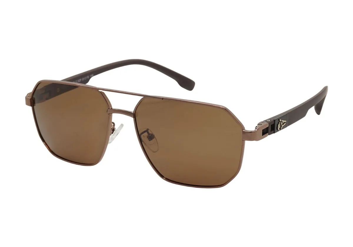 Sunglasses Grey Wolf GW4129 C-2