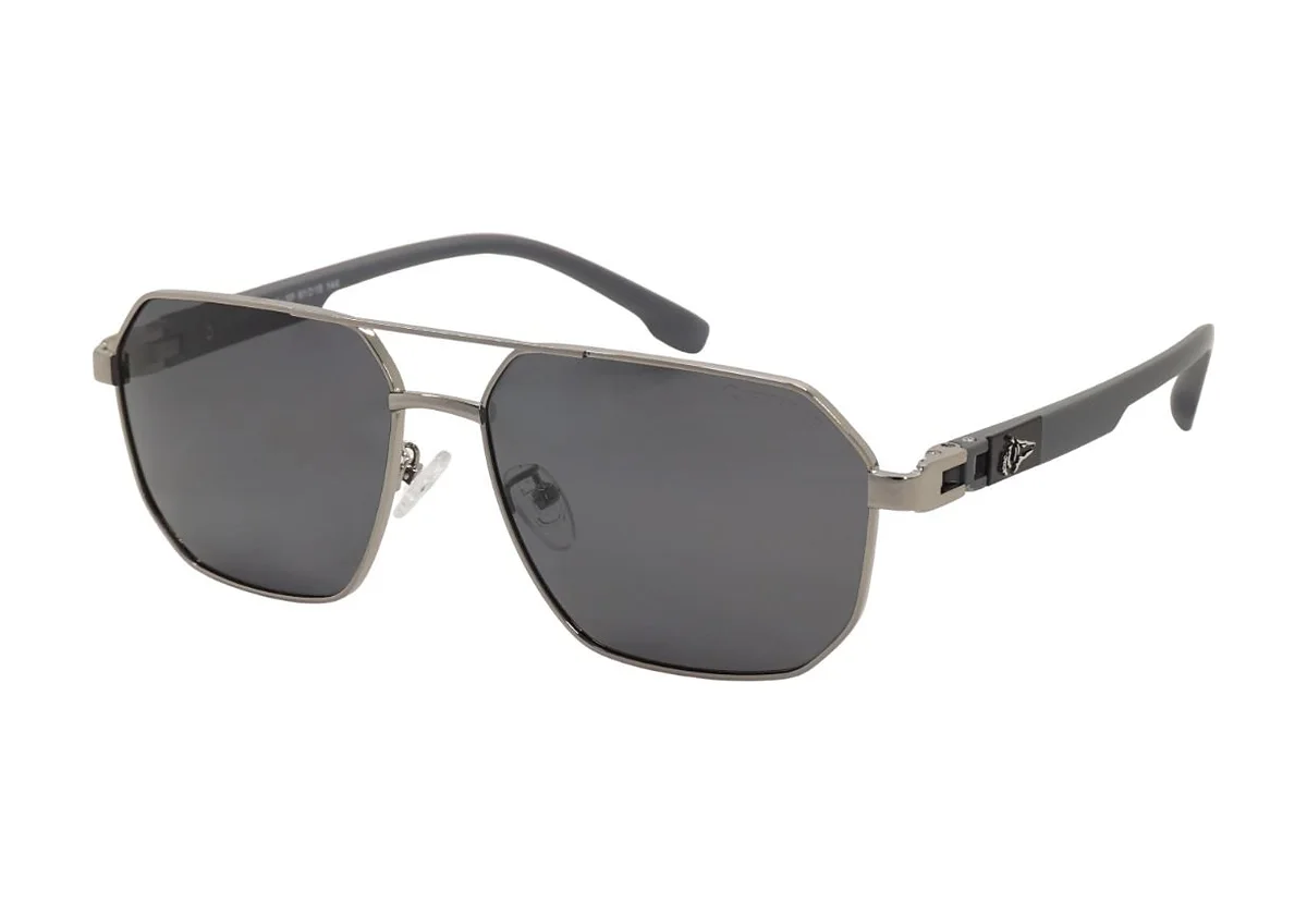 Sunglasses Grey Wolf GW4129 C-5