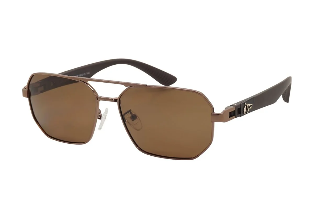 Lunettes de soleil Grey Wolf GW4130 C-2