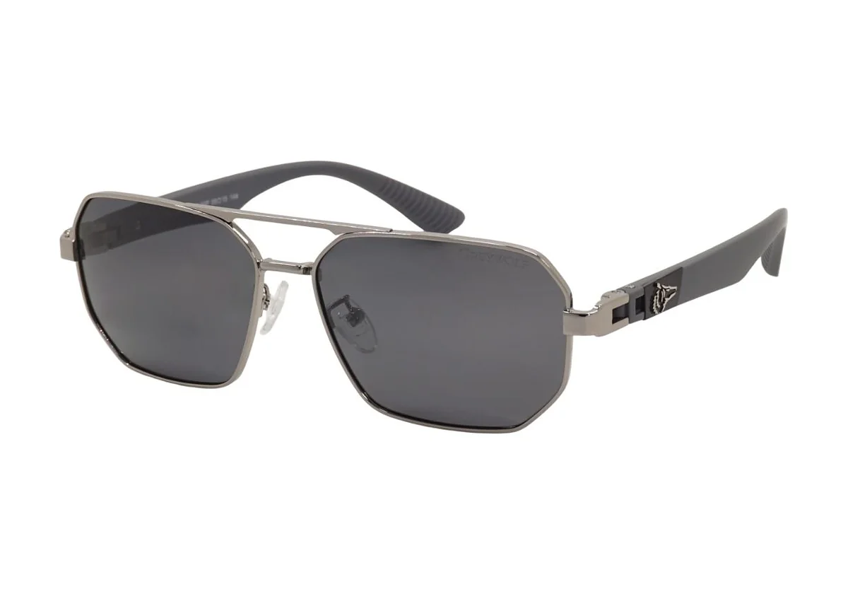 Lunettes de soleil Grey Wolf GW4130 C-5