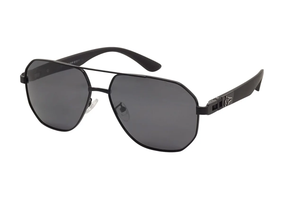 Sunglasses Grey Wolf GW4131 C-1