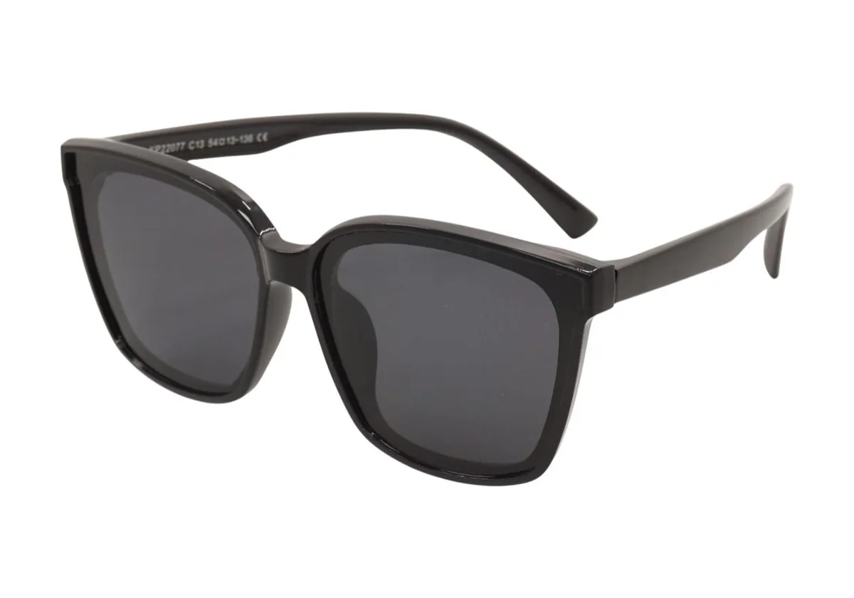 Sonnenbrillen King Pinguin KP22077 C-13